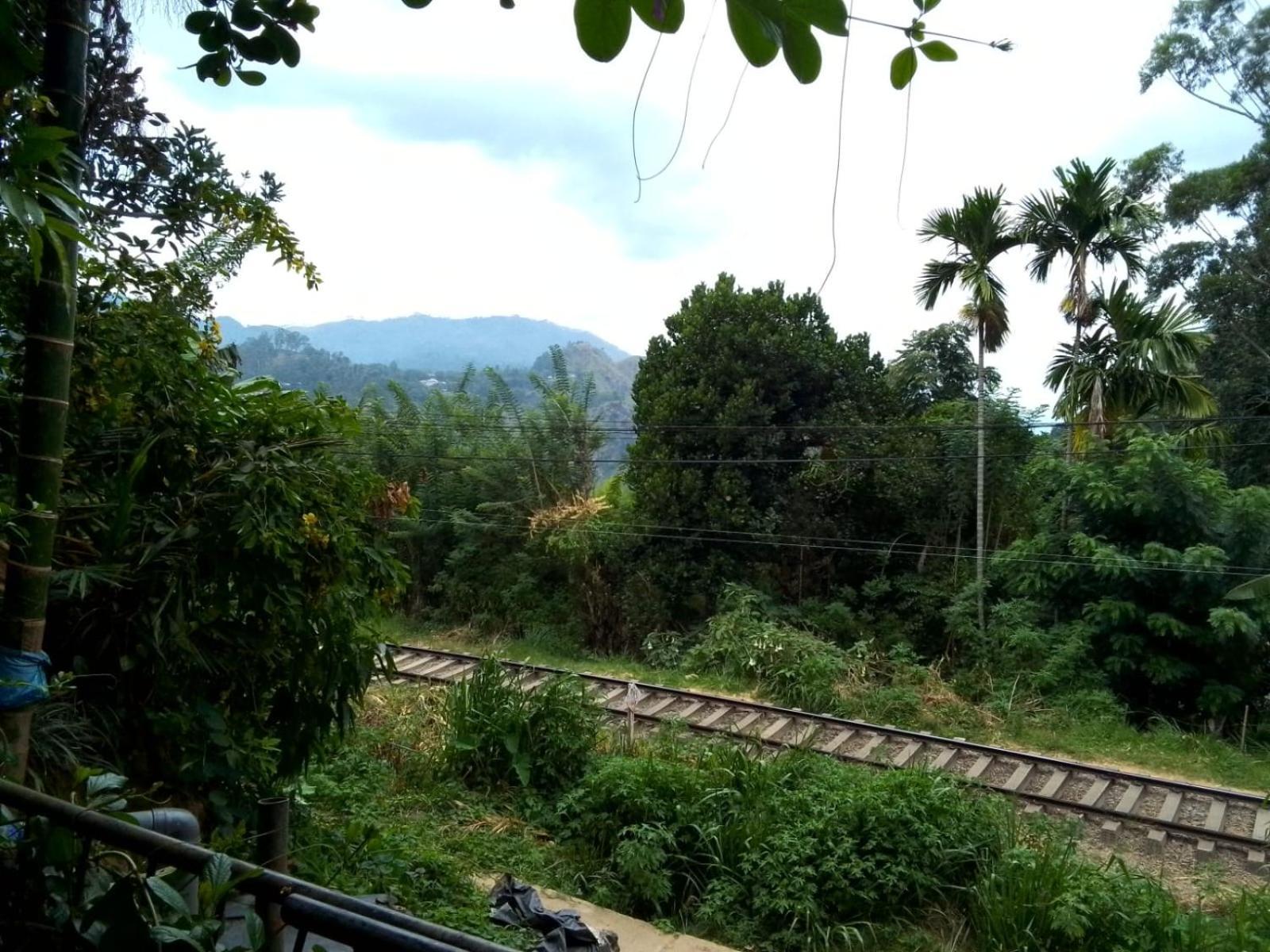 Charming View Homestay Элла Экстерьер фото