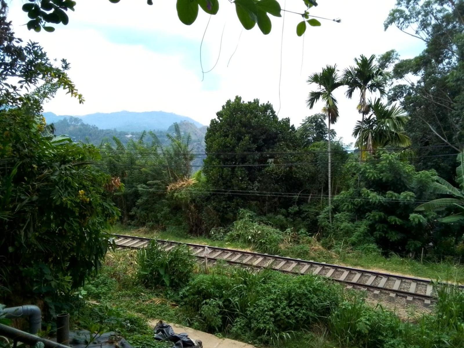 Charming View Homestay Элла Экстерьер фото